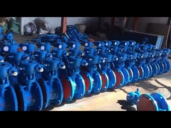 Gegote stalen WCB Triple Offset vlinderklep voor water-, stoom- en oliegebruik