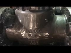 ASME API-standaard WCB CF8 CF8M Swing Check Valve voor waterstoom en olie