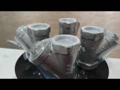 800PSI roestvrij staal 304 316 CF8 CF8M BSP NPT Vrouwelijke draad Y-type zeefmachine