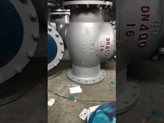 WCB geflensde terugslagklep met terugslagklep