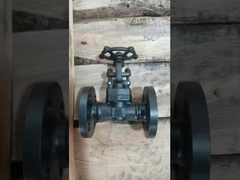 Gegote staal-roestvrij staal gesmeed poortklep voor waterstoom olie / corrosieve vloeistoffen