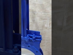 Gegooid staal roestvrij staal mespoortklep WCB 304 316 2250 ANSI Class150