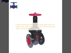Flange-connected cast iron rising stem gate valve with copper seal, used as an opening and closing device for water en olie pijpleidingen.